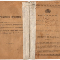 Augusto Capdeville Rojas (1864-1932) Documentos civiles